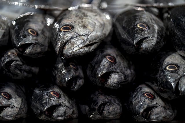 5-contaminated-foods-in-the-supermarkets