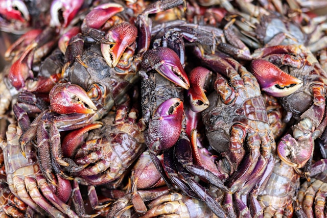 5-contaminated-foods-in-the-supermarkets