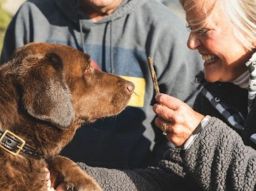 the-5-most-suitable-dog-breeds-for-seniors-t